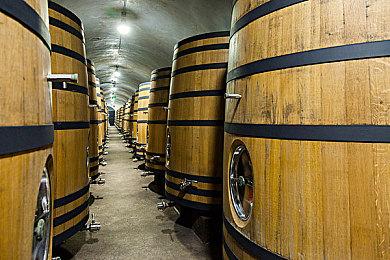 3DM x 腾讯文档合作！快来共同创建《艾尔登法环》WIKI